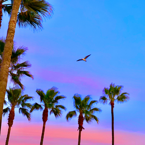 巨乳❌拔萝卜❌日韩欧美
